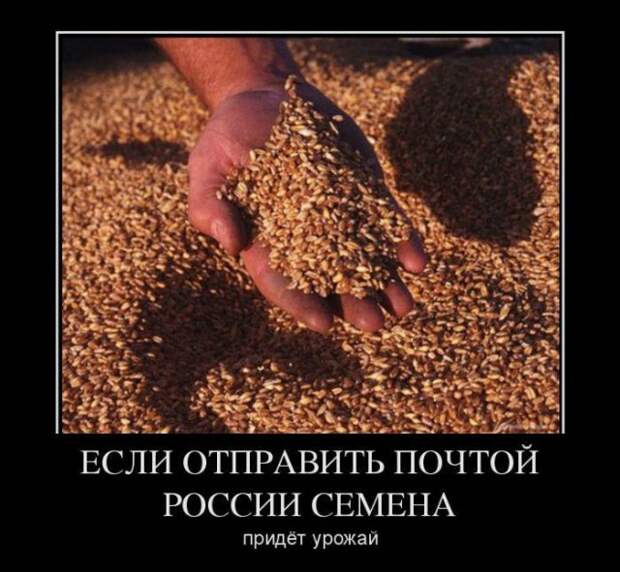 Всё в кучу 30