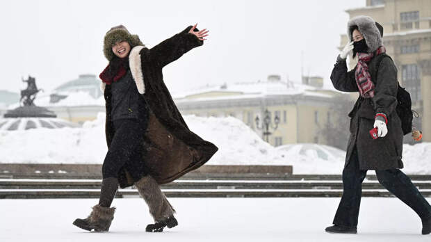 В Москве и области ожидаются ночные заморозки до −6 градусов