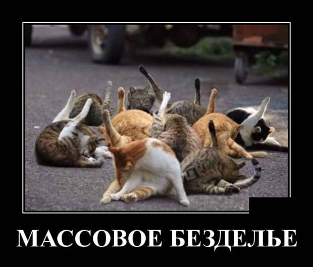 Демотиваторы