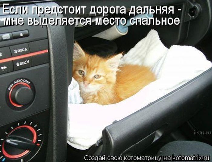 Лучшие котоматрицы недели Лучшие котоматрицы недели