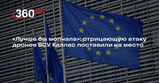 Финский политик Мема: Каллас следовало осудить атаку ВСУ на резиденцию Путина