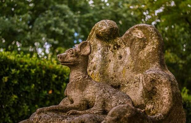 Le Cimetiere des Chiens. Le Cimetiere des Chiens.