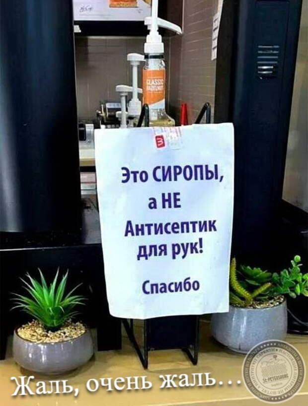 Жаль, очень жаль…