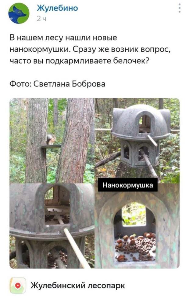 Фото дня: подозрительные кормушки в Жулебинском лесопарке
