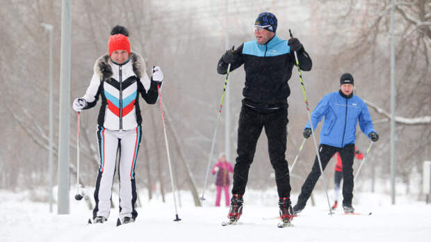 Россияне интересуются хоккеем, а занимаются лыжами: Дзен назвал самые популярные зимние виды спорта