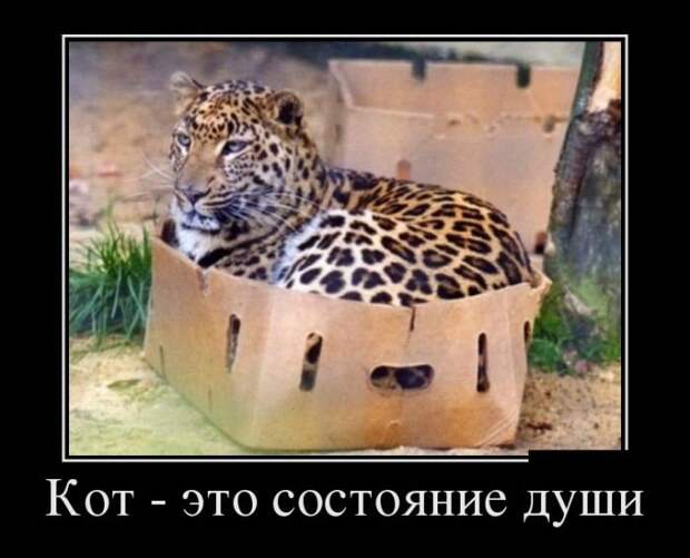 Демотиваторы на субботу (30 фото)