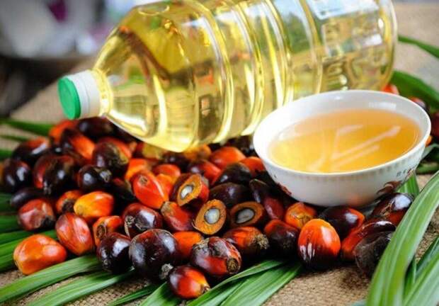 Пальмовое масло: вред или польза?