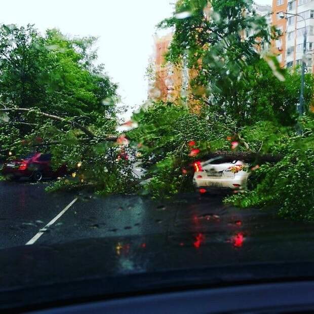 На Москву обрушился ураган (18 фото) На Москву обрушился ураган (18 фото)