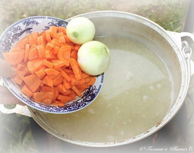 УХА из водки с головёшкой Еда, Уха, Уха на костре, Рыба, Тройная уха, Длиннопост