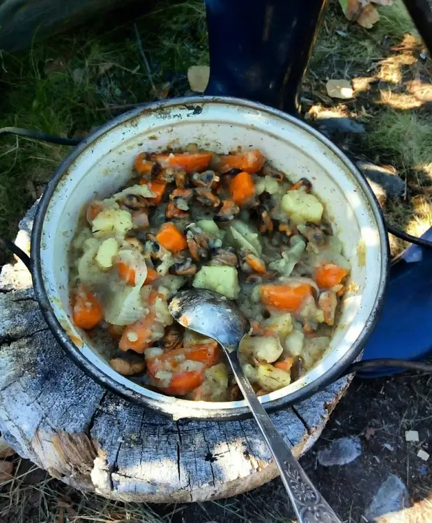 Беломорские мидии