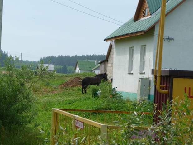 clip_image042