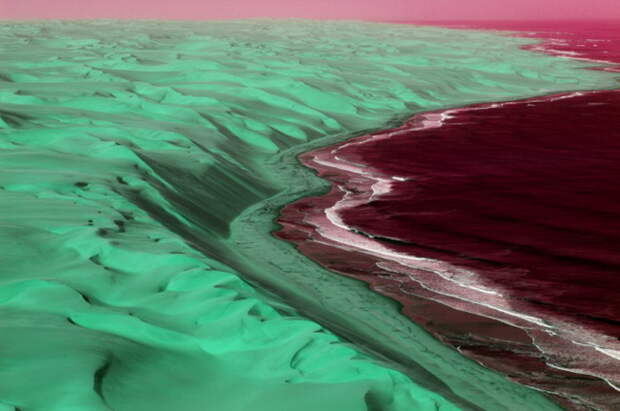 Varied-Alien-Habitats Varied-Alien-Habitats