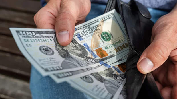 РБК: в 2025 году сбережения населения и бизнеса в валюте выросло на $33,3 млрд