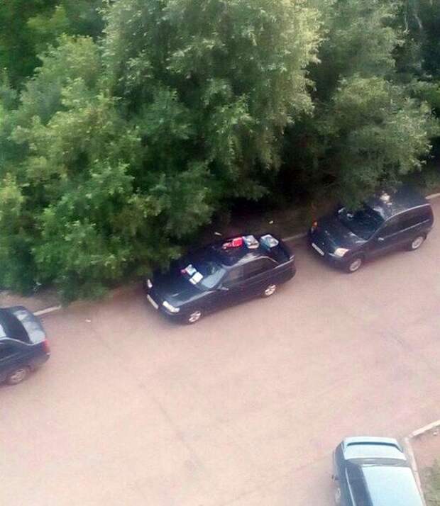 Парень выкинул мусор, но соседи его вернули автоместь, ваз, месть, мусор