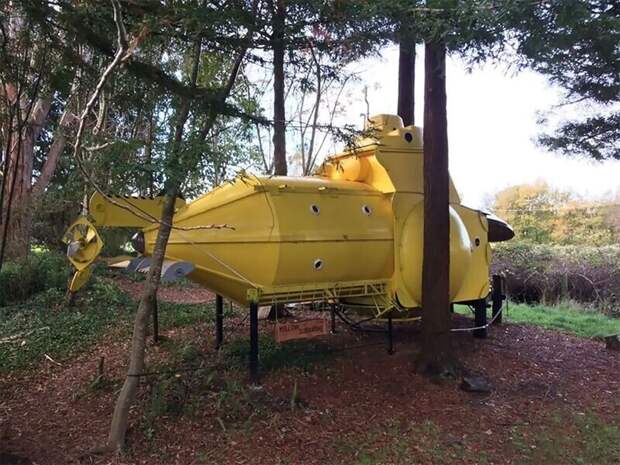 В новозеландском лесу выросла собственная Yellow Submarine В новозеландском лесу выросла собственная Yellow Submarine
