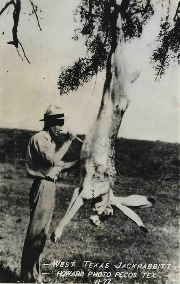 Фотошоп