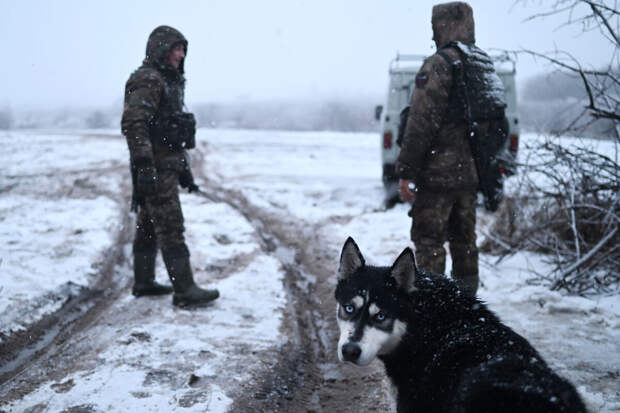 МО РФ: за сутки ВС РФ сбили 224 БПЛА