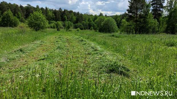 Только 20% земельных участков для многодетных семей обеспечены газом, 53% – электричеством