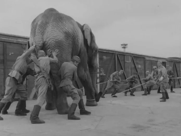 Впервые посмотрел этот советский фильм про Великую Отечественную войну. Он произвёл на меня сильнейшее впечатление...