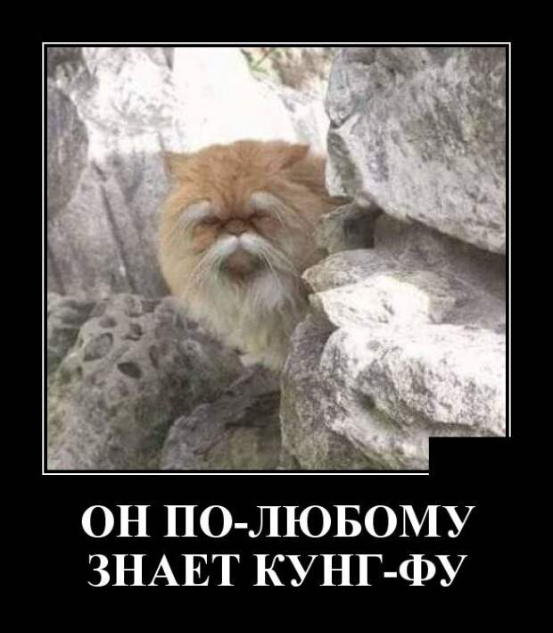 Демотиваторы (30 фото)
