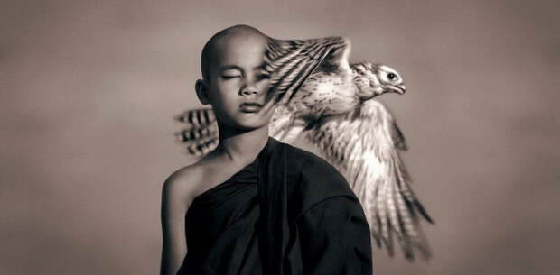 Люди и животные в фотографиях Gregory Colbert