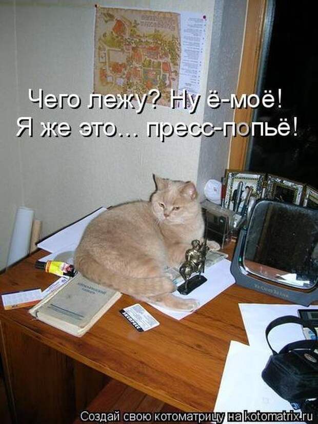 Выпуск 272: Красочные и улыбающие котоматрицы (30 фото) Выпуск 272: Красочные и улыбающие котоматрицы (30 фото)