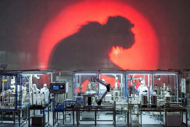 Онищенко призвал подготовиться к выпуску вакцин от оспы обезьян из-за вспышки