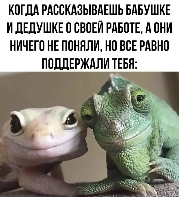 https://r.mt.ru/r30/photo27A1/20980341935-0/jpg/bp.webp