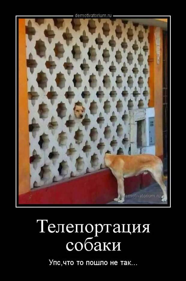 Свежая порция демотиваторов (14 шт)
