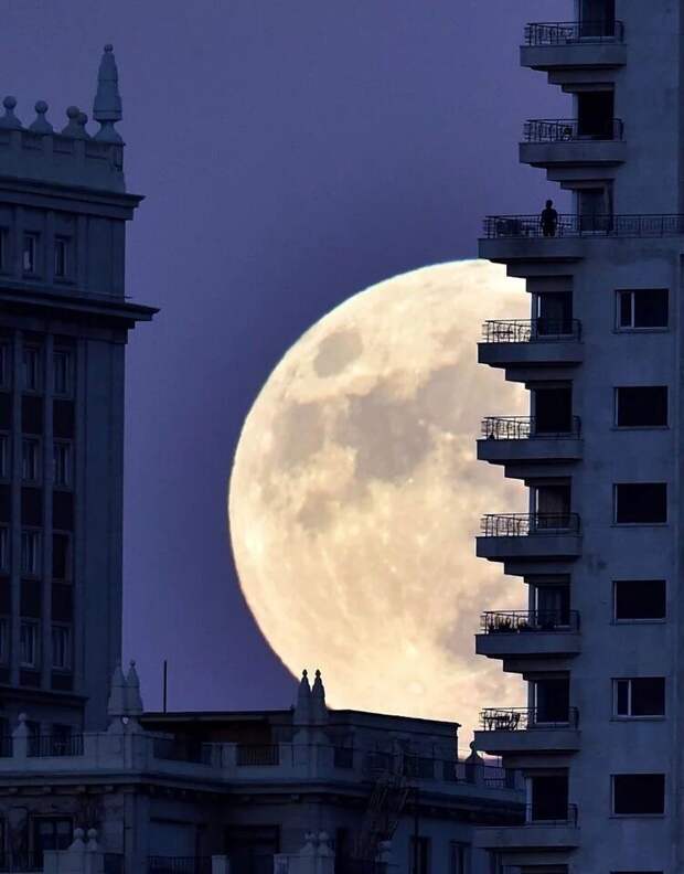 Полнолуние в Нью-Дели