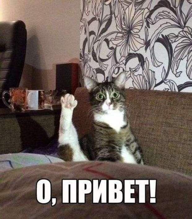Прикольные картинки с надписями для веселья (11 фото) Прикольные картинки с надписями для веселья (11 фото)
