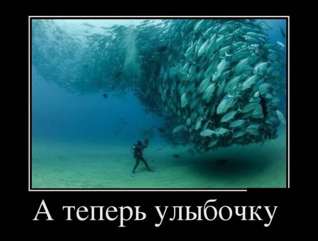 Демотиваторы (30 фото)