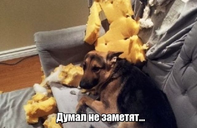 Смехотерапия дня. Забейте на всех и наслаждайтесь!