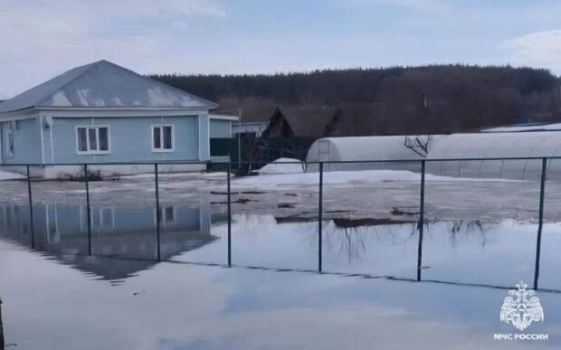 Затопленные участки, уровень воды в реках: паводок в Рязанской области 1 апреля