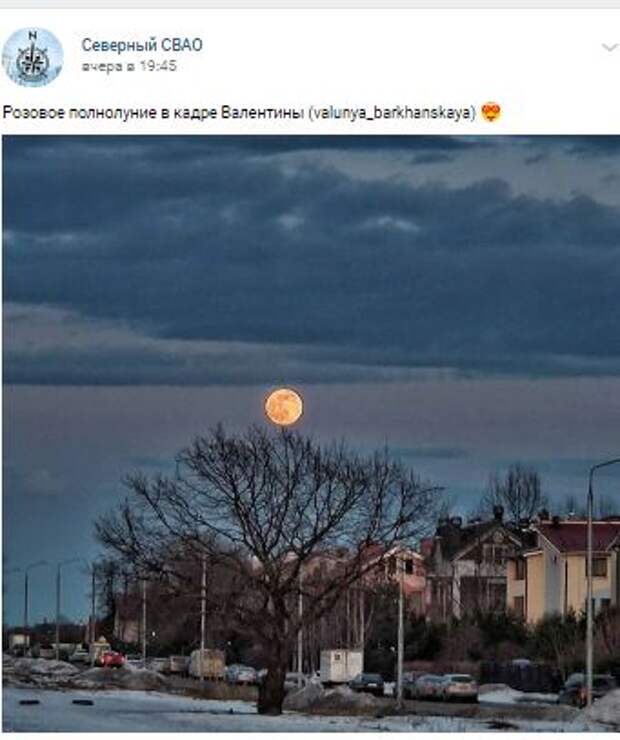 Фотокадр: жители Северного увидели «розовое полнолуние»