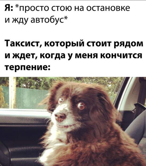 Прикольные картинки с надписями (12)