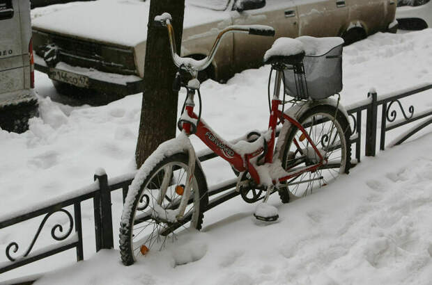 Январь 2026 года в Москве стал самым снежным за двести лет