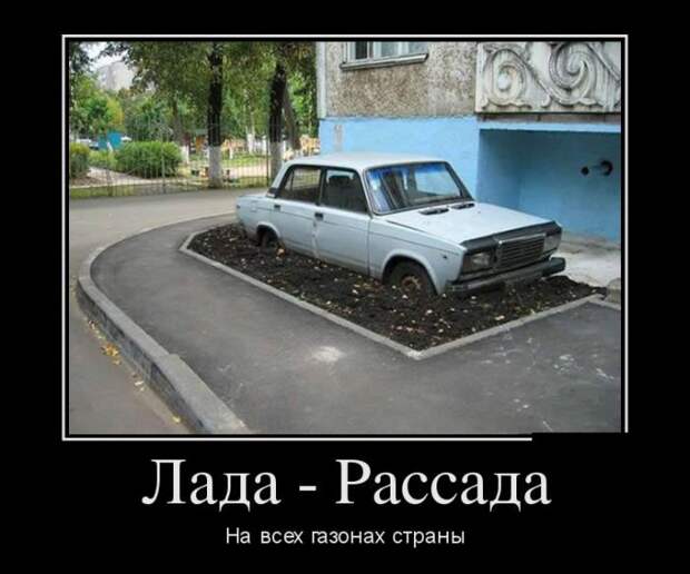 Вырастает в Ладу Седан балажан Вырастает в Ладу Седан балажан жизненно, прикол, рассада