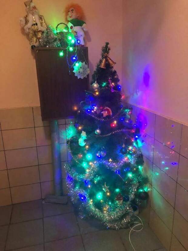 нг 1.jpg