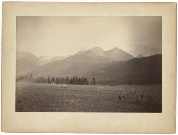 Вид на Алтайские горы, 1885. | Фото: loc.gov.