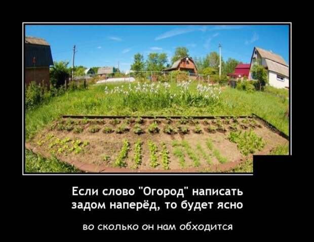 Демотиватор про огород