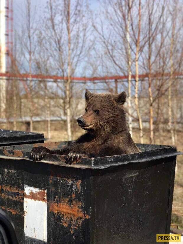 Прикольные фотографии - Субботний выпуск (53 фото)