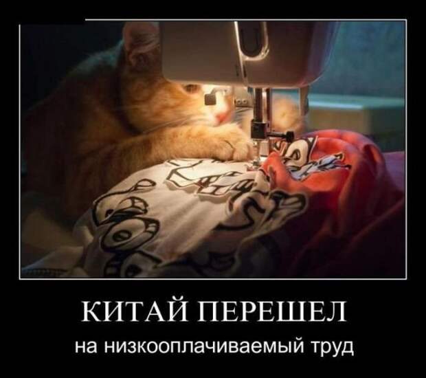Демотиваторы на понедельник (30 фото)