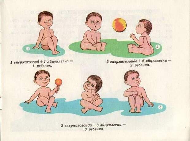 Откуда я взялся (35 фото) Откуда я взялся (35 фото)