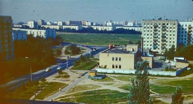 Кузьминки. история, мдф, фото