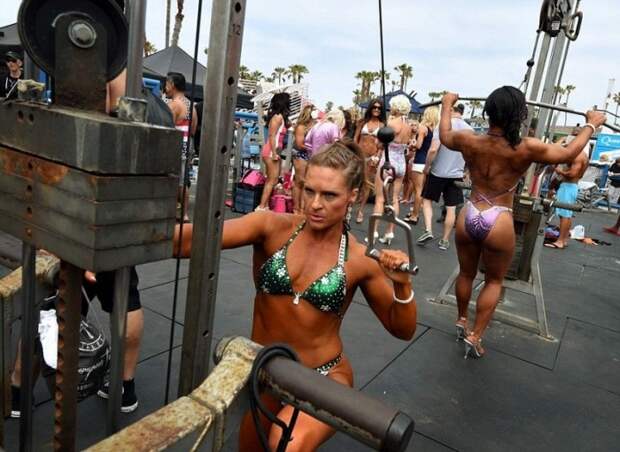 Калифорнийским участницам конкурса бикини на лица лучше не смотреть