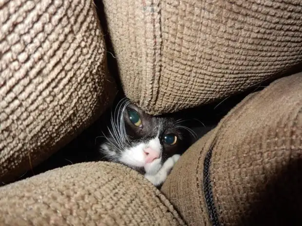 ?