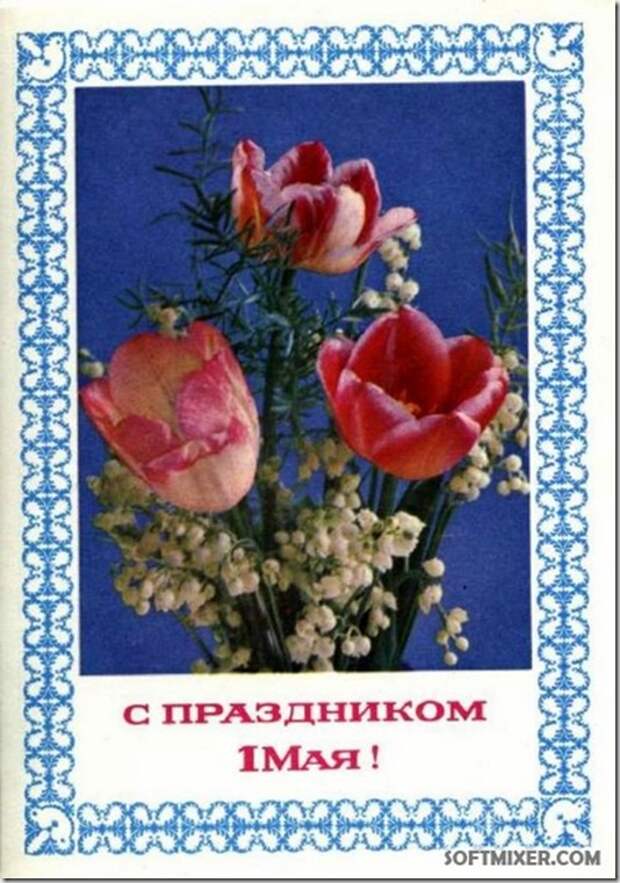 Image00018