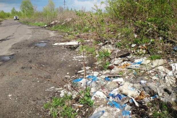 Вред от несанкционированной свалки в Мичуринском округе составил 13 млн рублей
