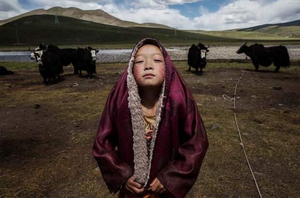 Объявлены победители престижного конкурса Sony World Photography Awards 2016